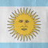 Argentina Flag Distressed iPhone XS Pro Case
